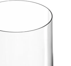 Leonardo Champagneglazen Daily - 200 Ml - 6 Stuks -Keukenbenodigdheden Winkel 063314 3 K 3000x