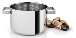 Eva Solo Kookpan Nordic Kitchen RVS - ø 20 Cm / 4 Liter -Keukenbenodigdheden Winkel 281240 Nordic Kitchen Pot 4l 20cm regi HIGH