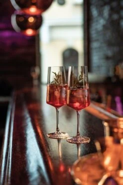 Zwiesel Glas Champagneglazen Echo - 395 Ml - 4 Stuks -Keukenbenodigdheden Winkel 4001836117838 3