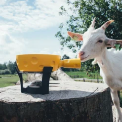 Boska Fondueset Cheesy - 6 Personen - Geel/zwart - 1.3 Liter 10 Boska Fondueset Cheesy - 6 Personen - Geel/zwart - 1.3 Liter -Keukenbenodigdheden Winkel 853512 BOSKAFondueSetSuperCheesy 2 2400x