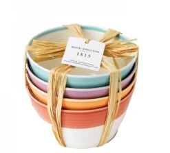 Royal Doulton Kommen 1815 Bright Colours ø 15 Cm - 4 Stuks 11 Royal Doulton Kommen 1815 Bright Colours ø 15 Cm - 4 Stuks -Keukenbenodigdheden Winkel 9022 2