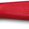 Victorinox Schilmes Swiss Classic - Rood - Gebogen - 6 Cm