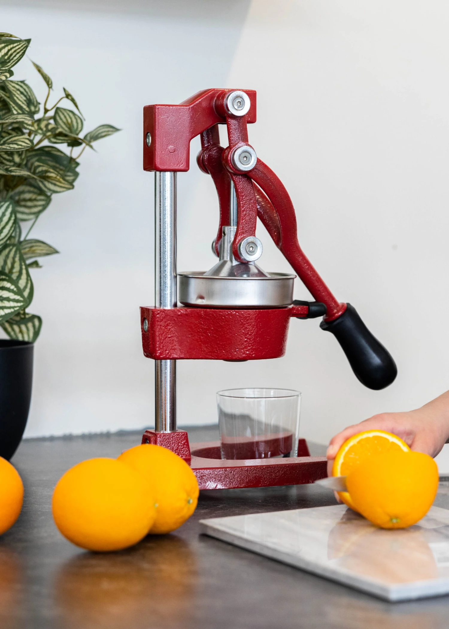 Sareva Citruspers - Gietijzer - Hevelmodel - Rood 4 Sareva Citruspers - Gietijzer - Hevelmodel - Rood - Afbeelding 2