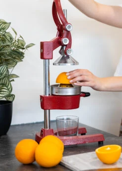 Sareva Citruspers - Gietijzer - Hevelmodel - Rood 13 Sareva Citruspers - Gietijzer - Hevelmodel - Rood -Keukenbenodigdheden Winkel Citruspers 5 1