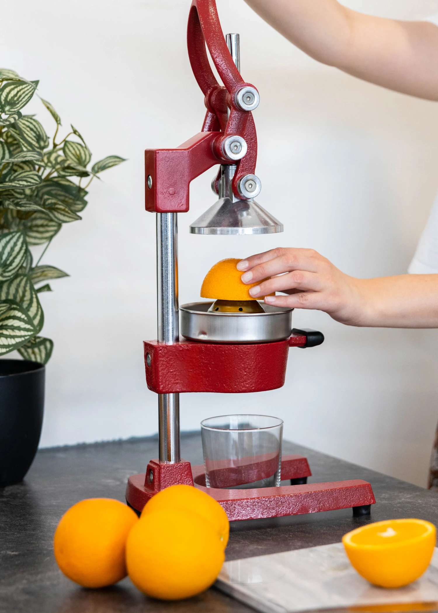 Sareva Citruspers - Gietijzer - Hevelmodel - Rood 5 Sareva Citruspers - Gietijzer - Hevelmodel - Rood - Afbeelding 3