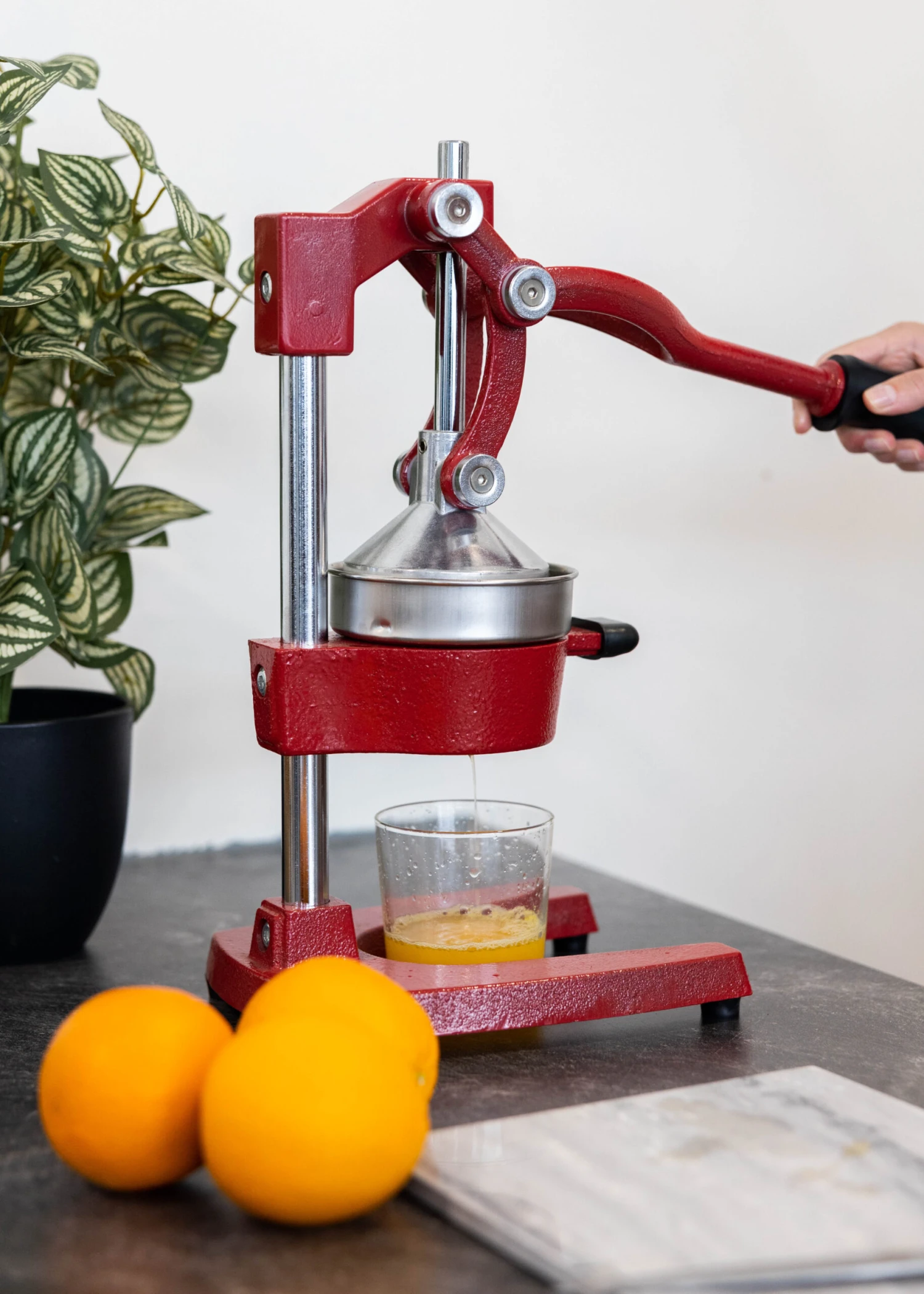 Sareva Citruspers - Gietijzer - Hevelmodel - Rood 7 Sareva Citruspers - Gietijzer - Hevelmodel - Rood - Afbeelding 5