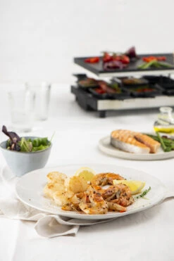 Fritel Gourmetstel RG 4180 -Keukenbenodigdheden Winkel RG 4180 Raclette Grill 142170 06