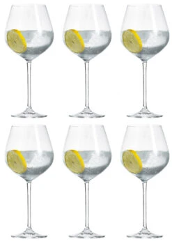 Schott Zwiesel Wijnglazen Fortissimo - Set 18 Delig - Witte En Rode Wijnglazen & Gin Tonic Glazen -Keukenbenodigdheden Winkel Schott Zwiesel Gin Tonic Glazen Fortissimo 740 ml 6 Stuks