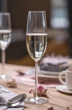 Schott Zwiesel Champagneglazen Diva - 220 Ml - 6 Stuks 7 Schott Zwiesel Champagneglazen Diva - 220 Ml - 6 Stuks -Keukenbenodigdheden Winkel champagne glas