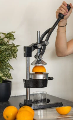 Sareva Citruspers - Gietijzer - Hevelmodel - Zwart -Keukenbenodigdheden Winkel citruspers 4 1