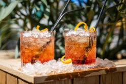 Cookinglife Whiskey Glazen / Cocktailglazen / Waterglazen Monea - 230 Ml - 2 Stuks -Keukenbenodigdheden Winkel cocktail zomer 1 1