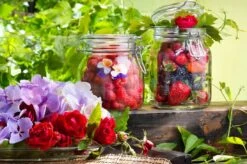 Bormioli Rocco Weckpot Fido 11 X 11 Cm / 1.5 Liter -Keukenbenodigdheden Winkel e000316 3