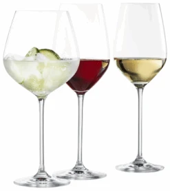 Schott Zwiesel Wijnglazen Fortissimo - Set 18 Delig - Witte En Rode Wijnglazen & Gin Tonic Glazen -Keukenbenodigdheden Winkel fortissimo wijnglazenset schott zwiesel