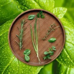 ASA Selection Pizzabord / Onderbord Wood ø 30 Cm -Keukenbenodigdheden Winkel grande wood holzteller kraeuter 2 2