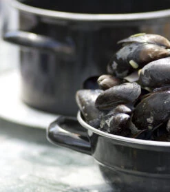 Cosy & Trendy Mosselpan - Rood - ø 18 Cm / 2.8 Liter -Keukenbenodigdheden Winkel mosselpan 6